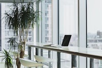 a desk with a laptop and a plant